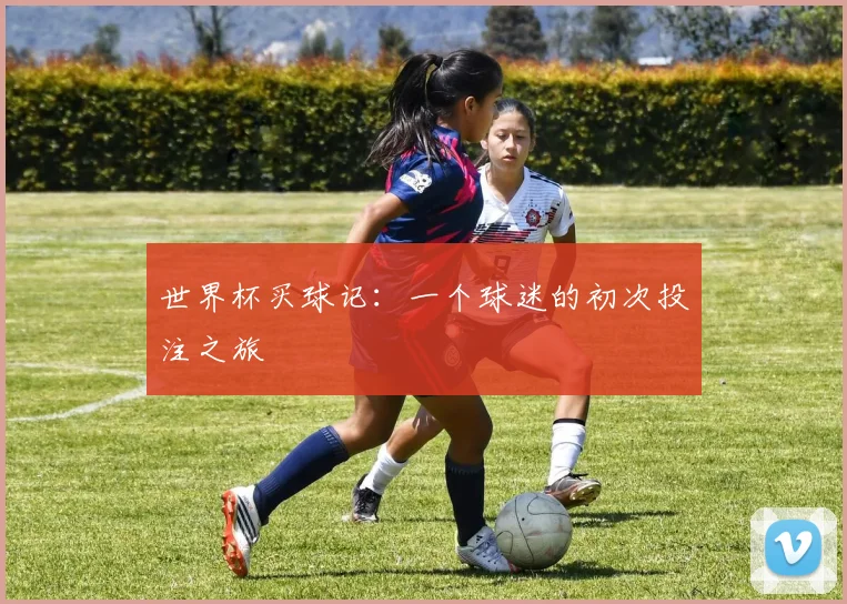世界杯买球记：一个球迷的初次投注之旅
