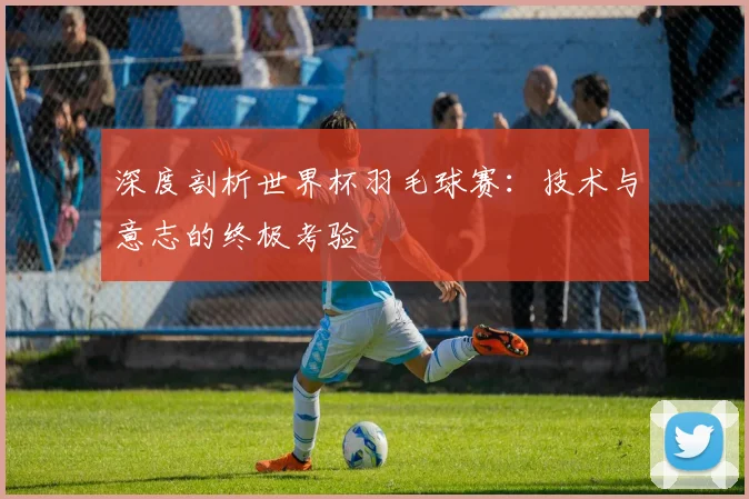 深度剖析世界杯羽毛球赛：技术与意志的终极考验