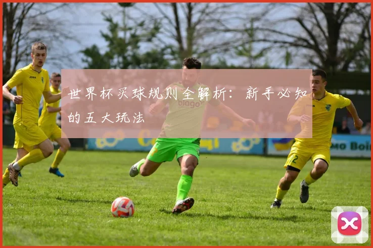 世界杯买球规则全解析:新手必知的五大玩法